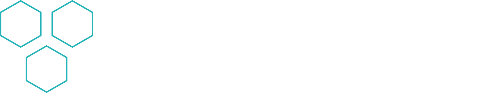  Sonnen Fuzeon Logo
